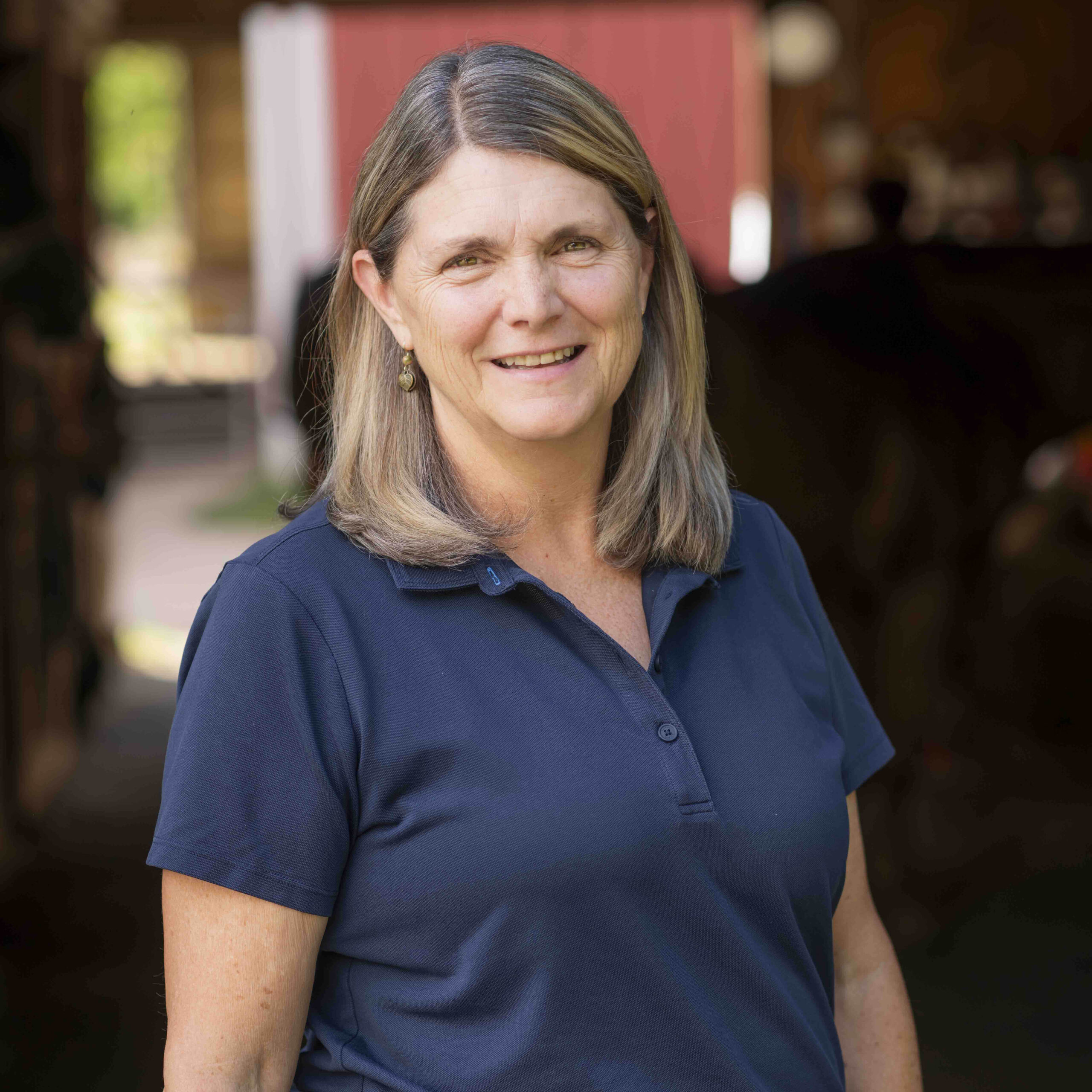 Geraldine O’Connor Page, Executive Director of the Therapeutic Equestrian Center in Holyoke in the barn in a dark blue shirt.